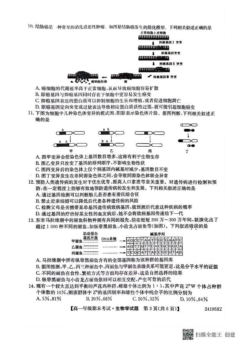 内蒙古自治区兴安盟乌兰浩特第一中学2023-2024学年高一下学期期末考试生物试题03