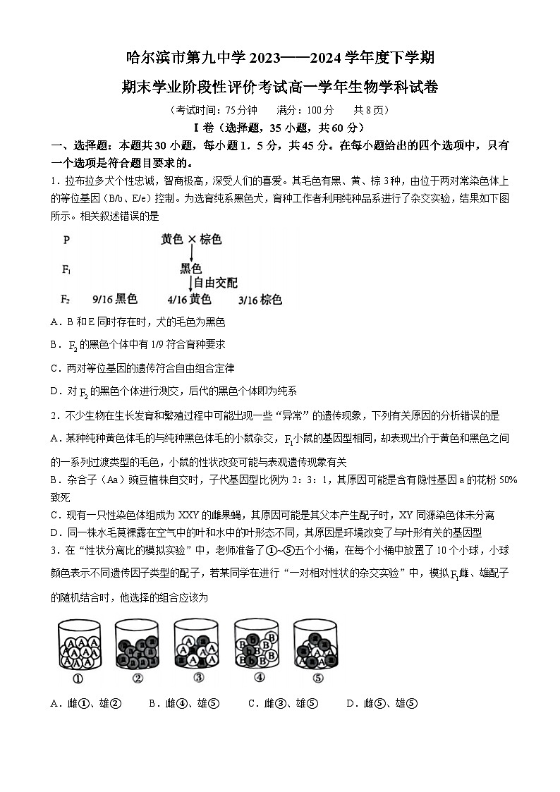 黑龙江省哈尔滨市松北区哈尔滨市第九中学校2023-2024学年高一下学期7月期末生物试题01