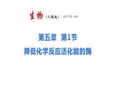 新人教版  高一 生物必修一  第五章 第一节 降低化学反应活化能的酶  课件ppt