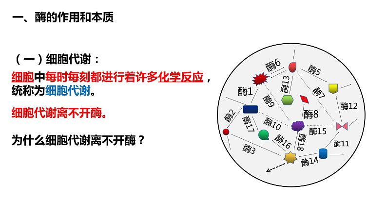 新人教版  高一 生物必修一  第五章 第一节 降低化学反应活化能的酶  课件ppt04