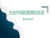 新人教版  高一 生物必修一  第五章 第四节  光合作用与能量转化（第2课时 光合作用的原理和应用）课件ppt