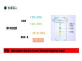 新人教版  高一 生物必修一  第五章 第四节  光合作用与能量转化（第2课时 光合作用的原理和应用）课件ppt
