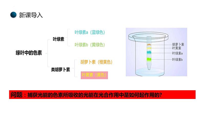 新人教版  高一 生物必修一  第五章 第四节  光合作用与能量转化（第2课时 光合作用的原理和应用）课件ppt02