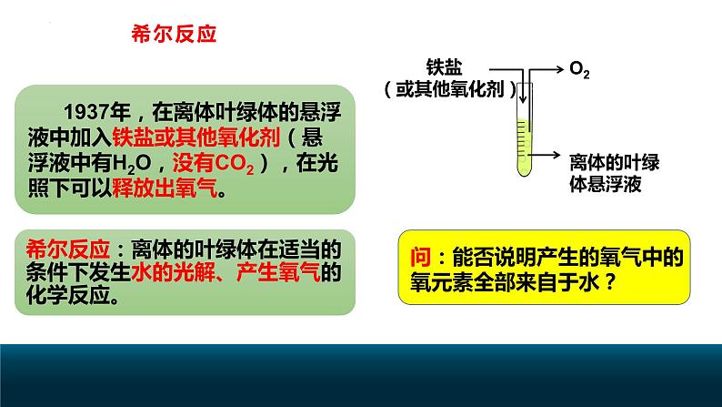 新人教版  高一 生物必修一  第五章 第四节  光合作用与能量转化（第2课时 光合作用的原理和应用）课件ppt04