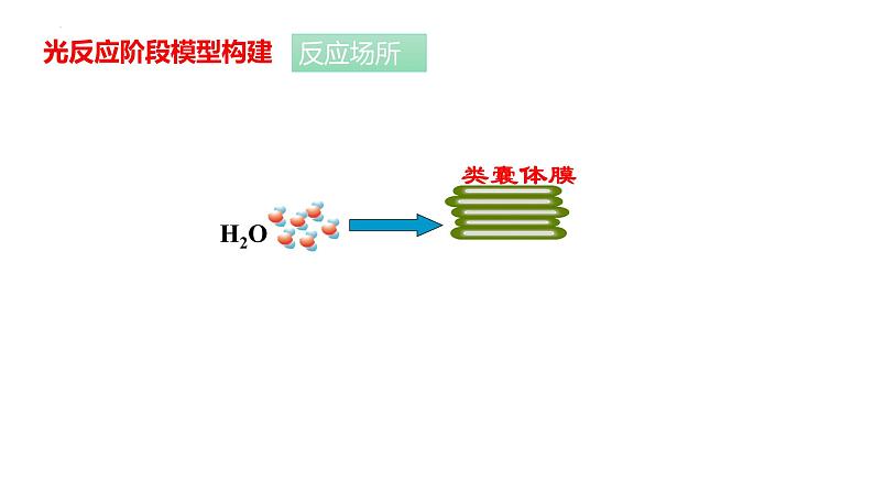 新人教版  高一 生物必修一  第五章 第四节  光合作用与能量转化（第2课时 光合作用的原理和应用）课件ppt07