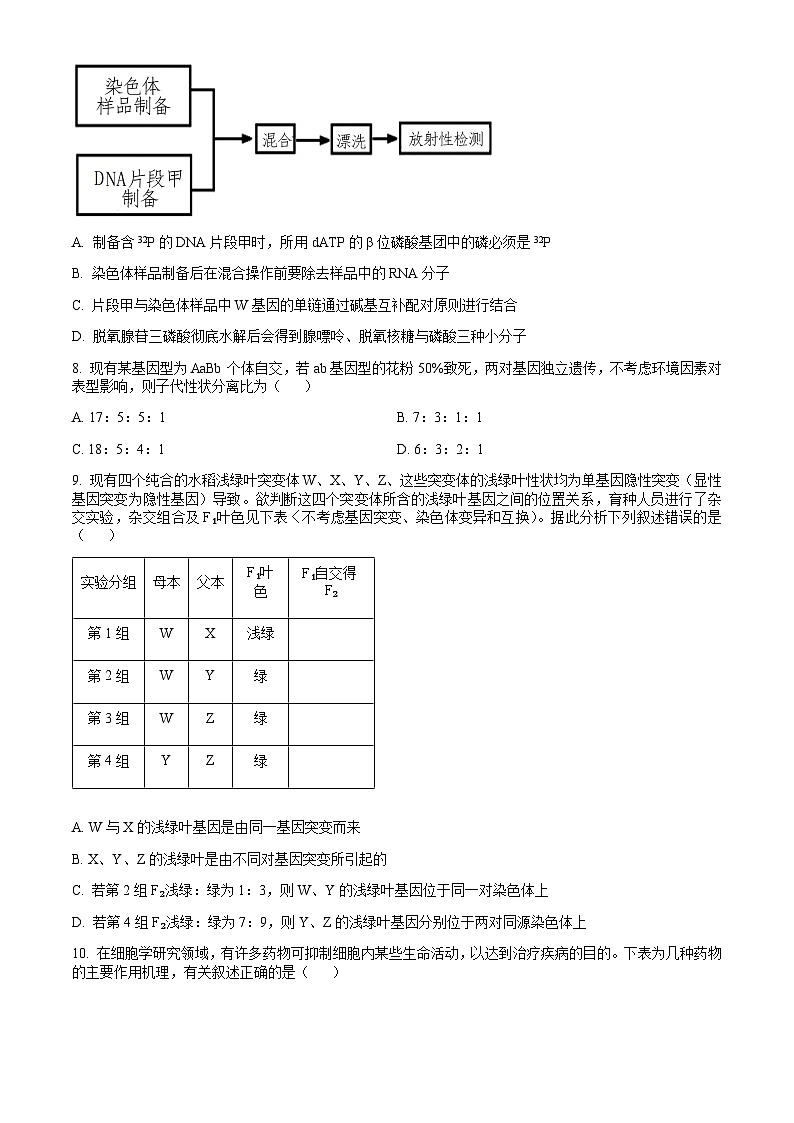 山西省吕梁市2023-2024学年高一下学期7月期末考试 生物 Word版含解析03