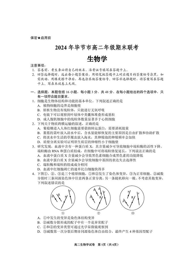 2024年贵州省毕节市高二下学期期末联考 生物试题01