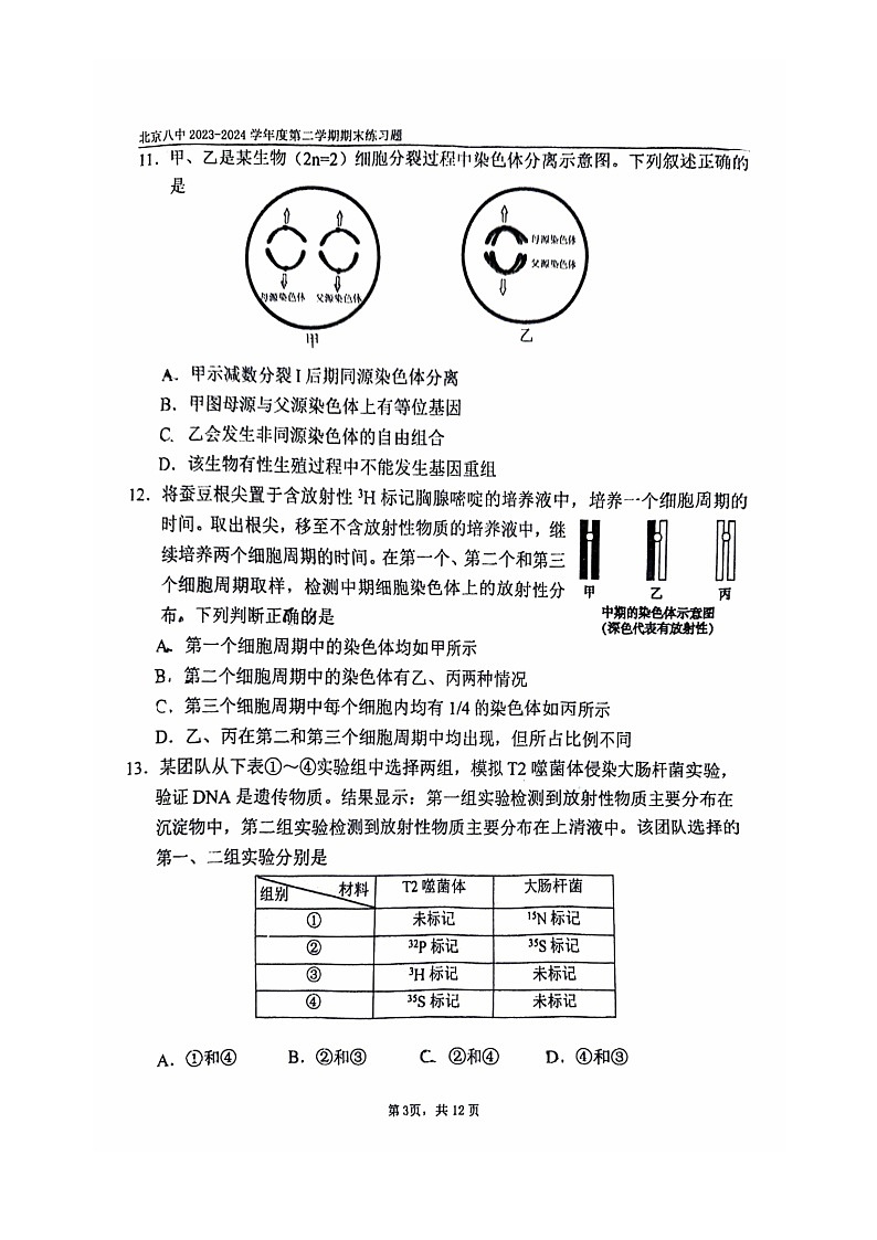 2024北京八中高一下学期期末生物试卷及答案第3页