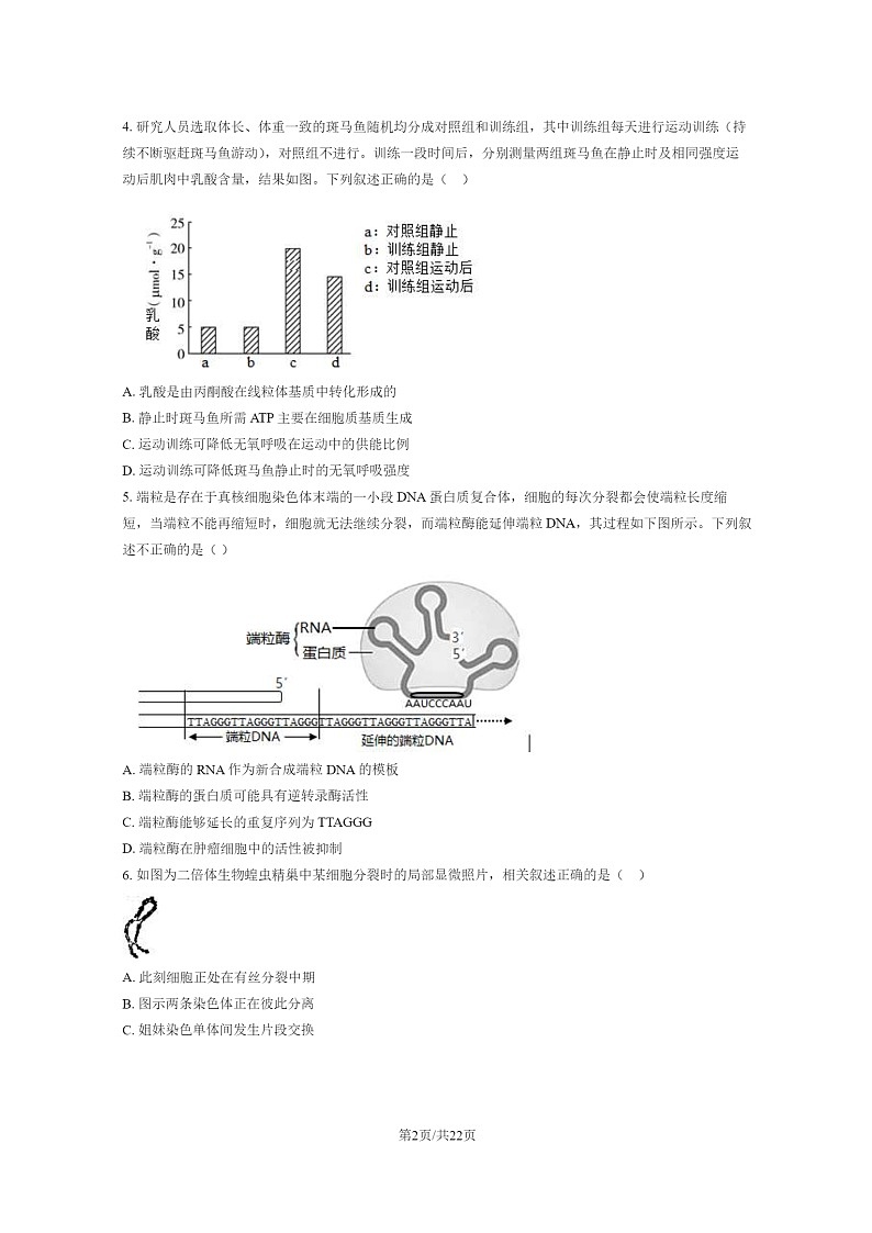 2024北京延庆高二下学期期末生物试卷及答案02