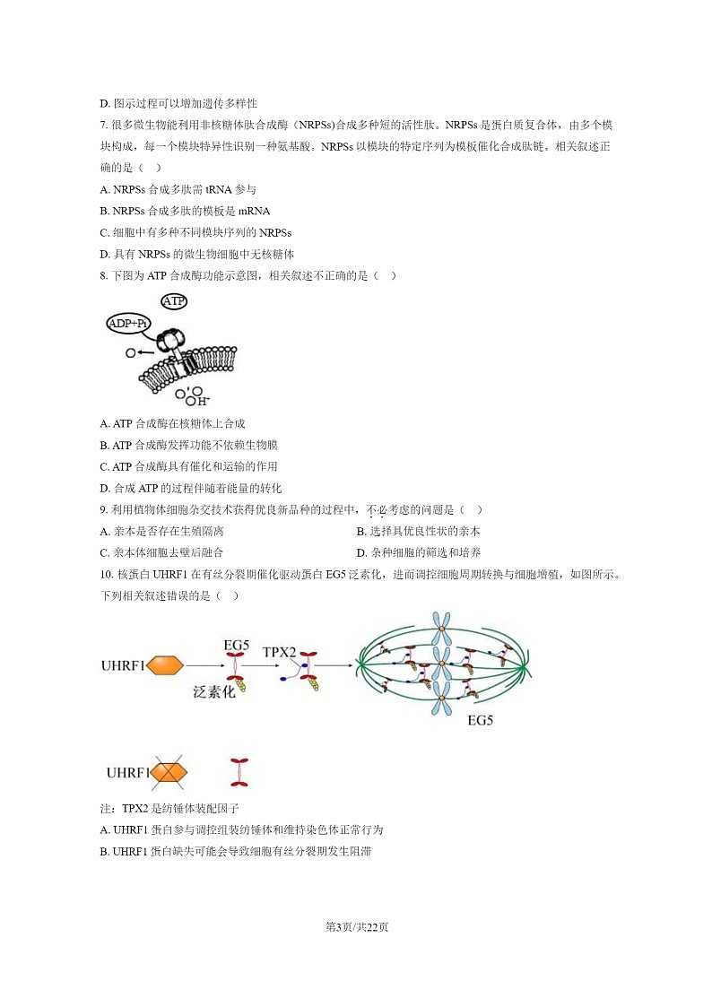2024北京延庆高二下学期期末生物试卷及答案03