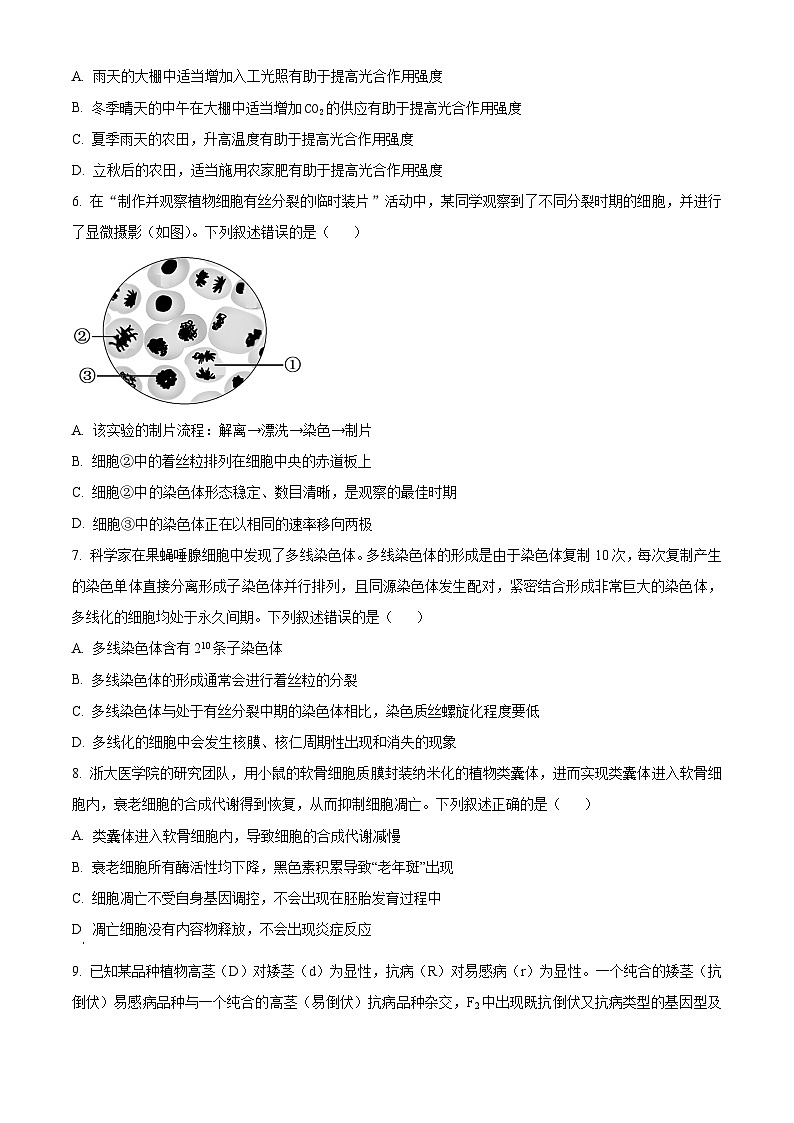 2024曲靖高一下学期期末考试生物含解析第2页