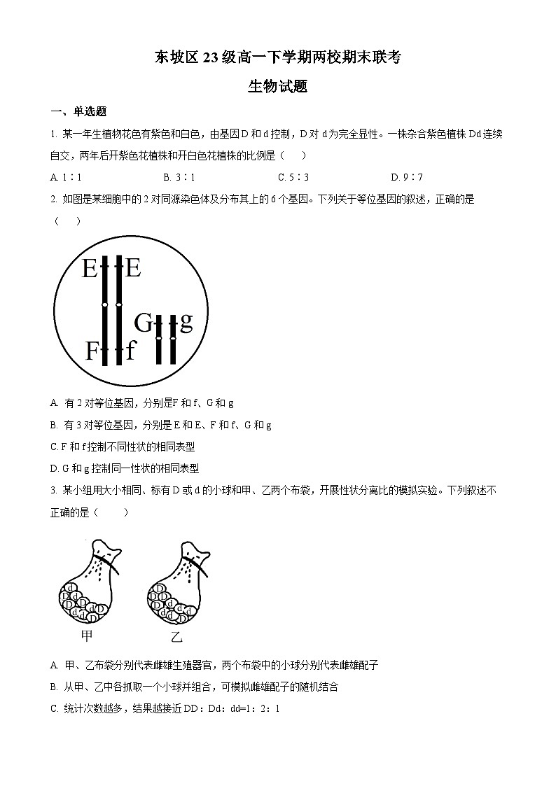 2024眉山东坡区两校高一下学期6月期末联考试题生物含解析01