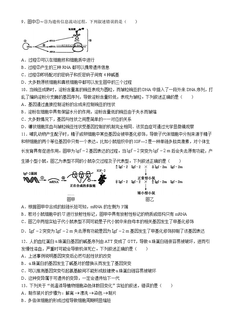 河南省周口市鹿邑县第三高级中学2023-2024学年高一下学期期末考试生物试题03