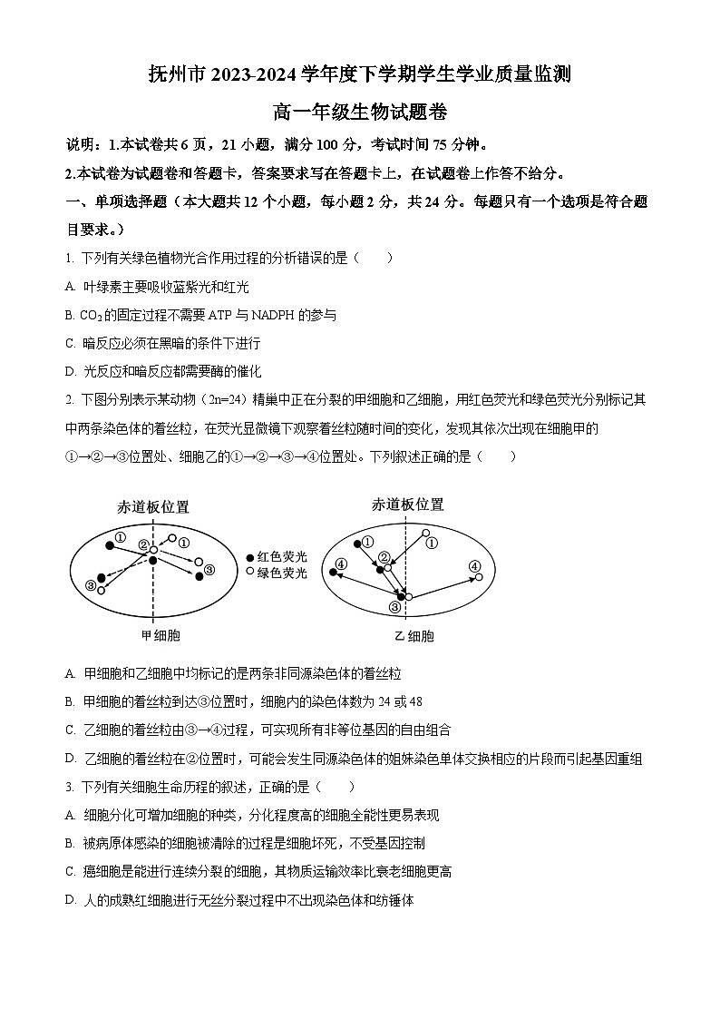 江西省抚州市2023-2024学年高一下学期期末考试生物试题（Word版附解析）01