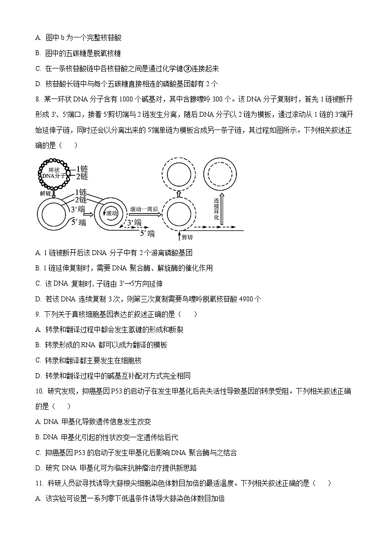 江苏省徐州市2023-2024学年高一下学期6月期末考试生物试题（Word版附解析）03