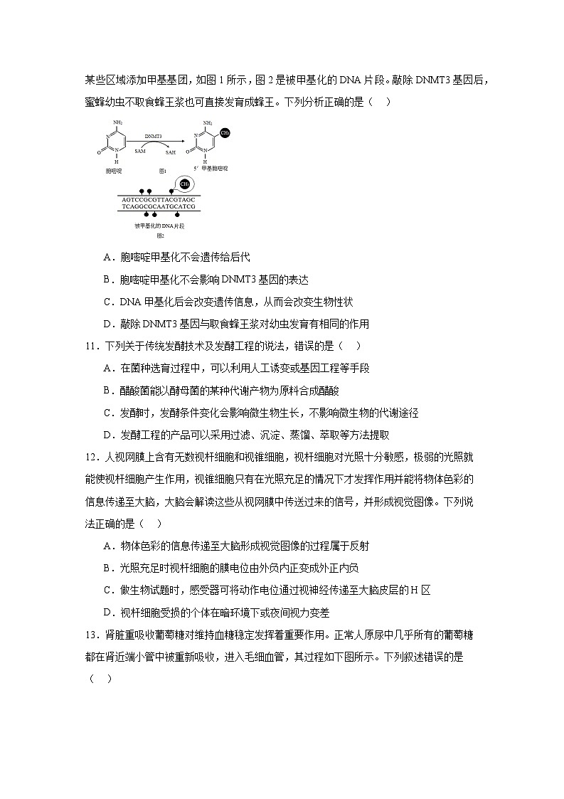 广东省潮州市2023-2024学年高二下学期期末生物试卷03