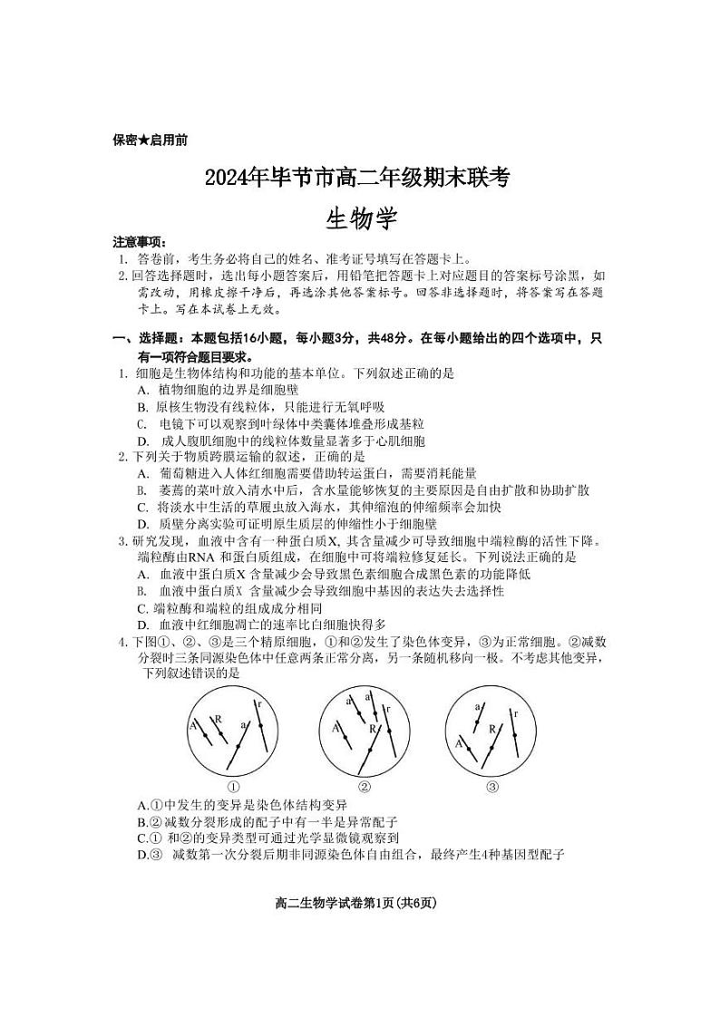 生物-贵州省毕节市2024年毕节市高二年级下学期7月期末联考试题和答案01