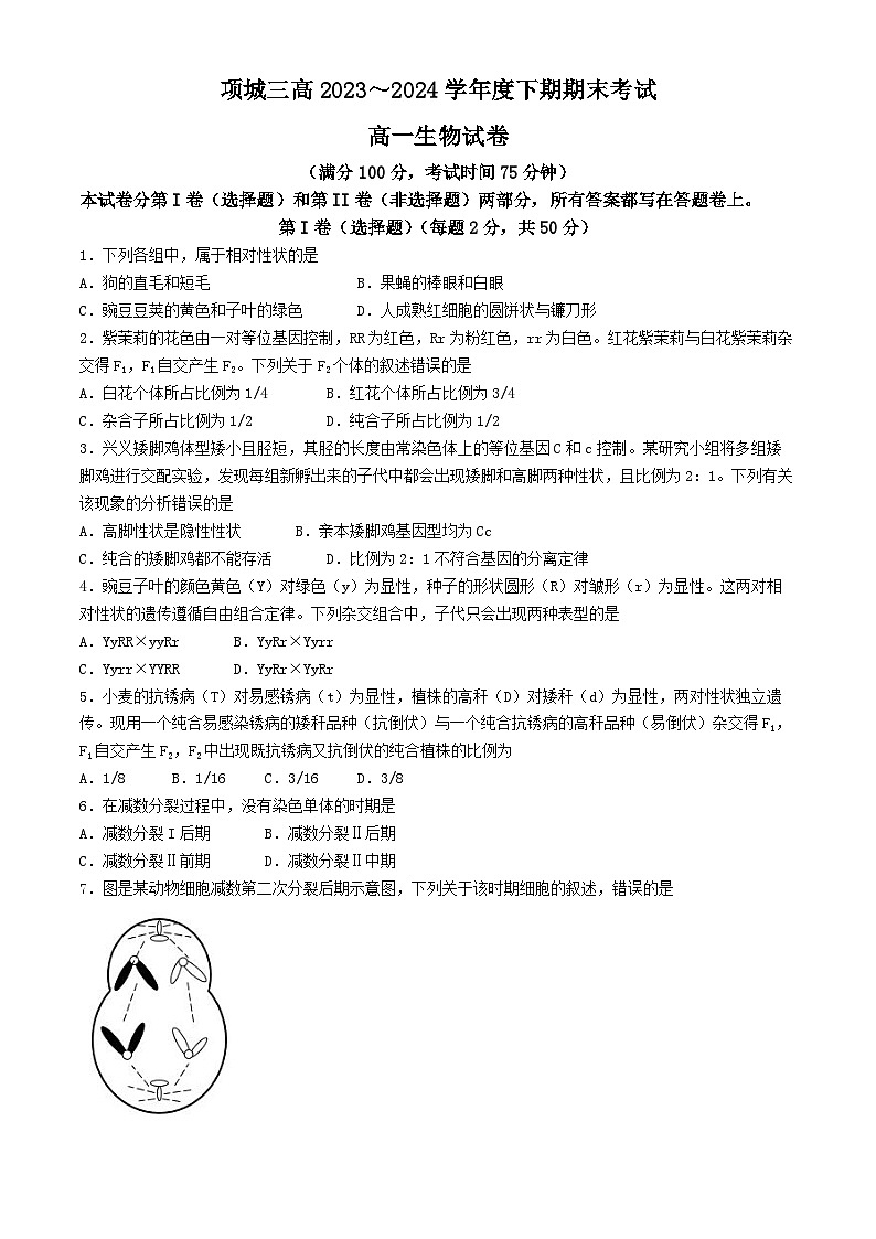 河南省项城市第三高级中学2023-2024学年高一下学期期末考试生物试题01