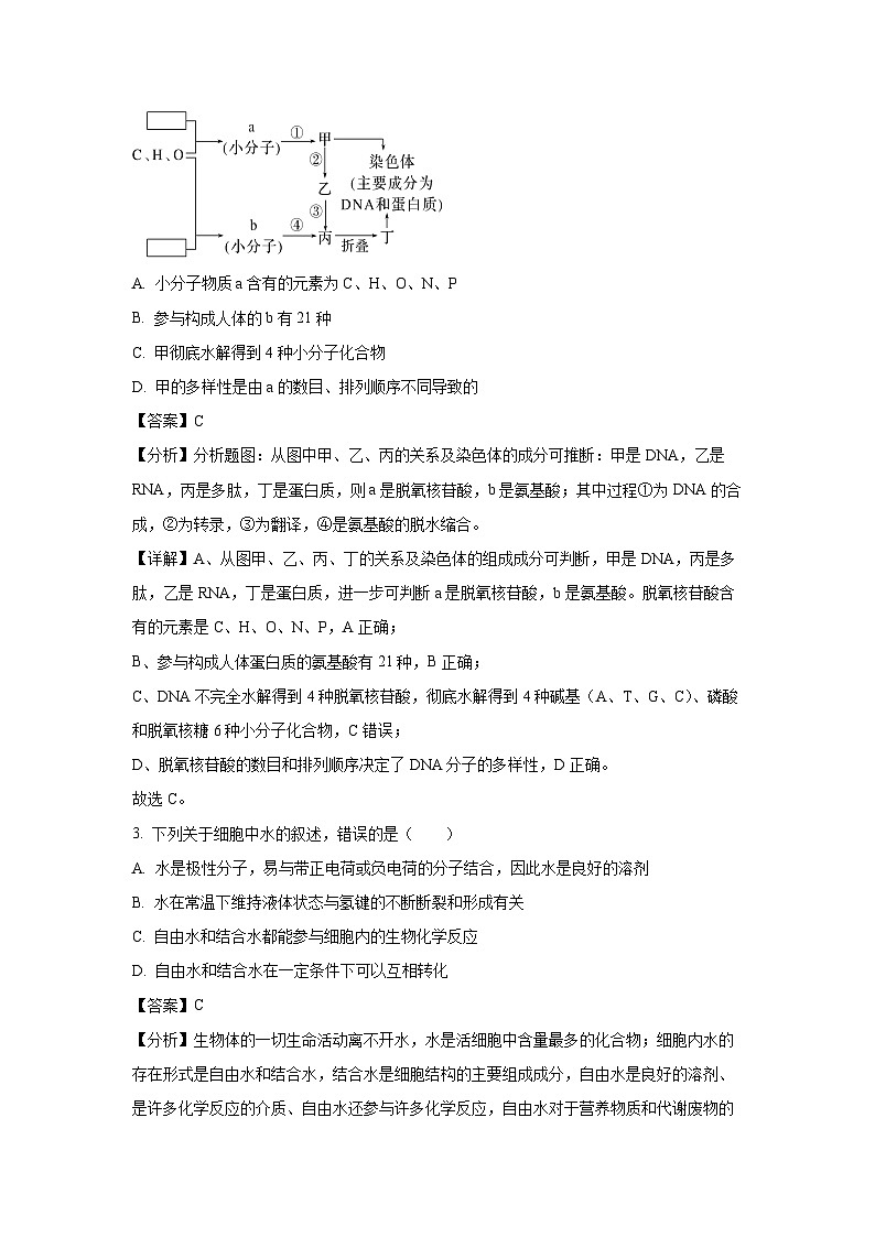 [生物][期末]四川省眉山市仁寿县2023-2024学年高二下学期6月期末试题(解析版)02