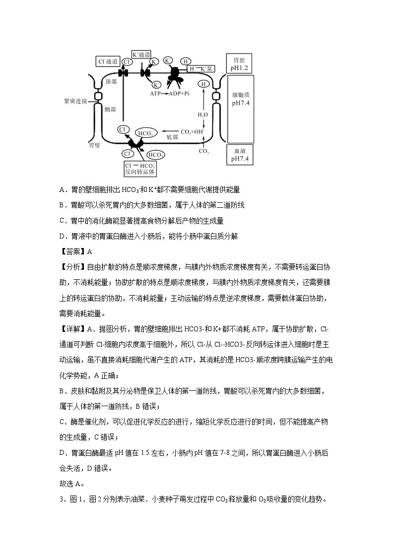 [生物]卷01-备战2024年高考生物临考压轴卷(安徽卷)(解析版)第2页