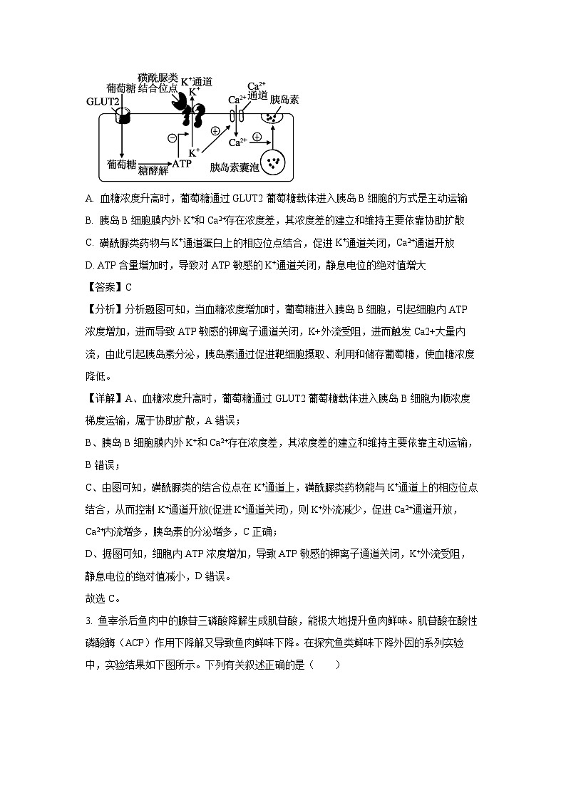 [生物][期末]湖南省衡阳市衡阳县2023-2024学年高二下学期7月期末试题(解析版)02