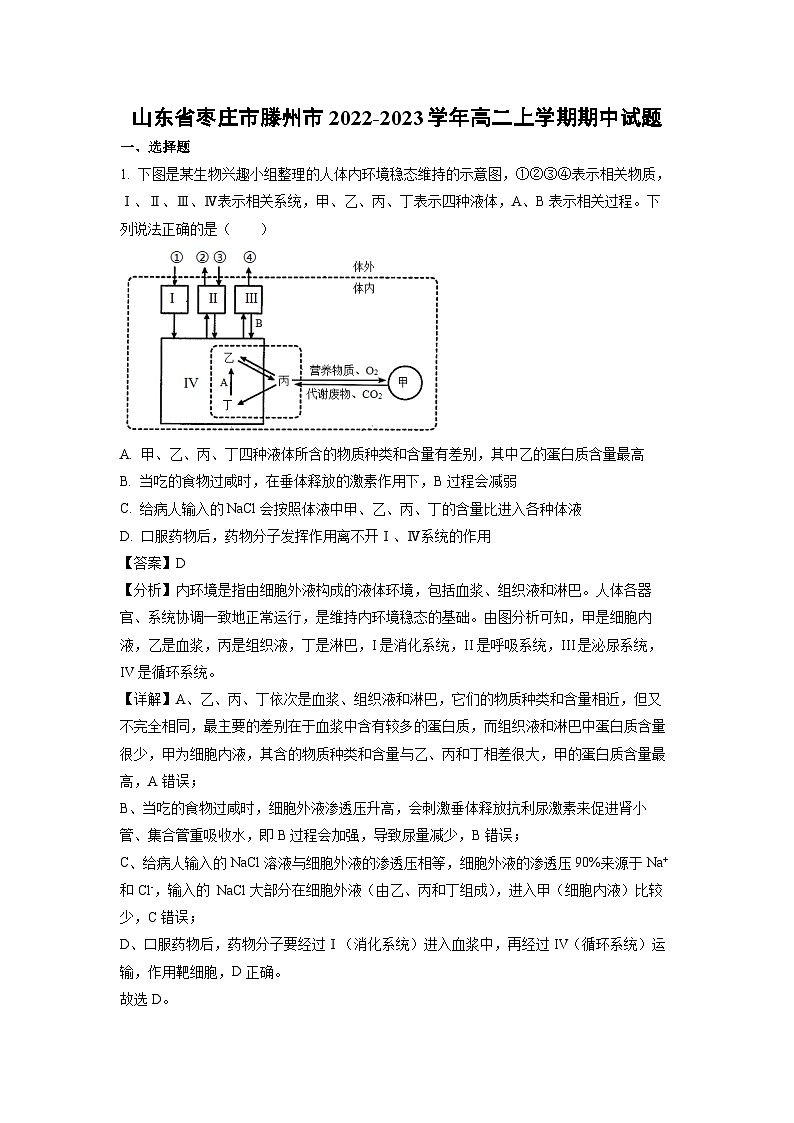 [生物][期中]山东省枣庄市滕州市2022-2023学年高二上学期期中试题(解析版)01