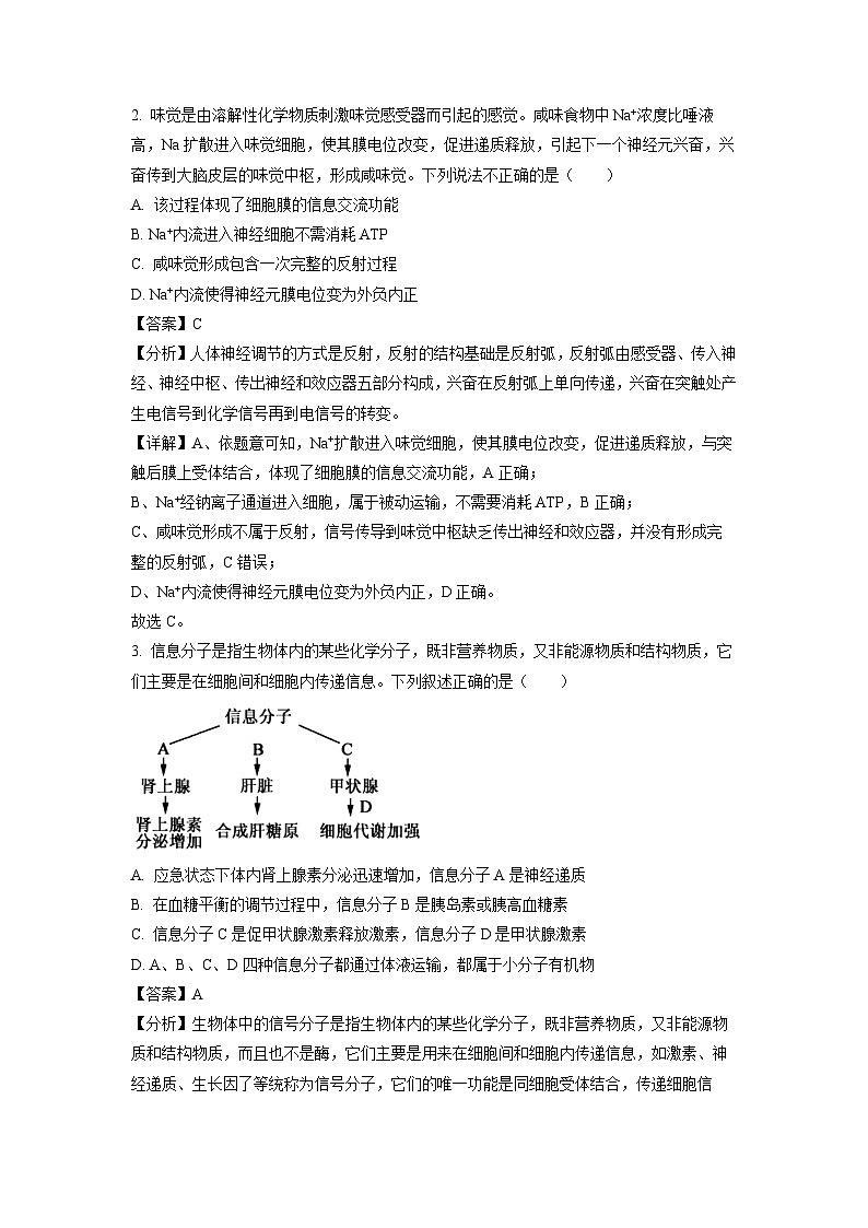 [生物][期中]山东省枣庄市滕州市2022-2023学年高二上学期期中试题(解析版)02