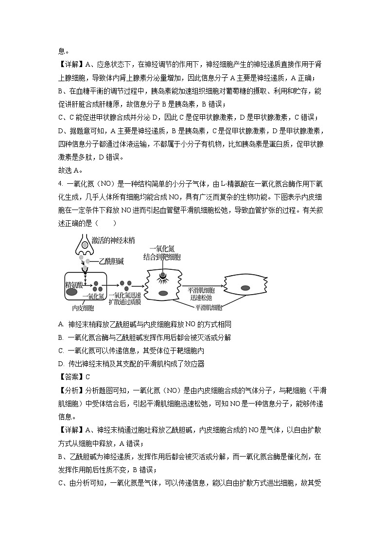 [生物][期中]山东省枣庄市滕州市2022-2023学年高二上学期期中试题(解析版)03