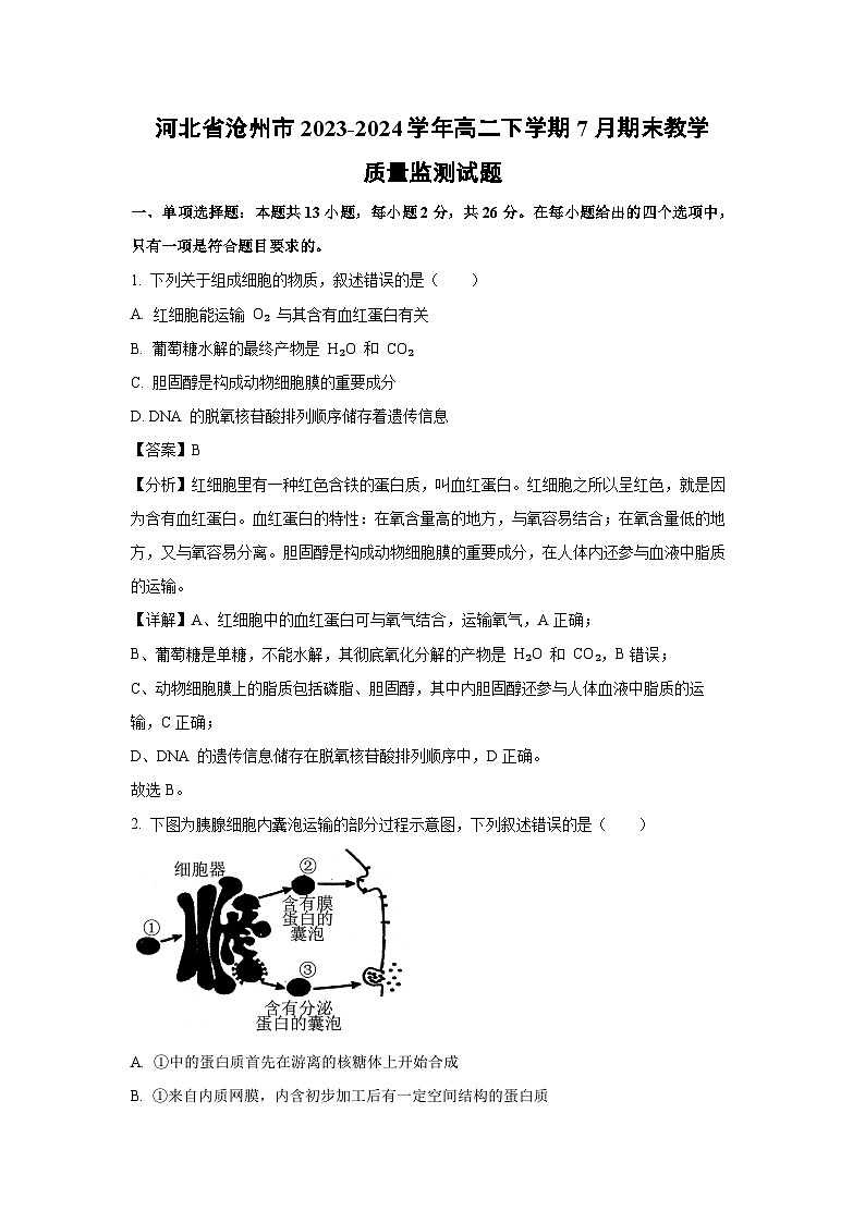 [生物][期末]河北省沧州市2023-2024学年高二下学期7月期末教学质量监测试题(解析版)01
