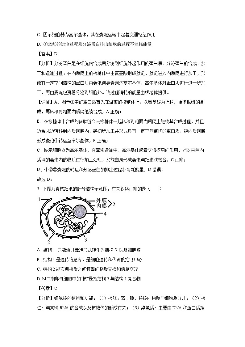 [生物][期末]河北省沧州市2023-2024学年高二下学期7月期末教学质量监测试题(解析版)02