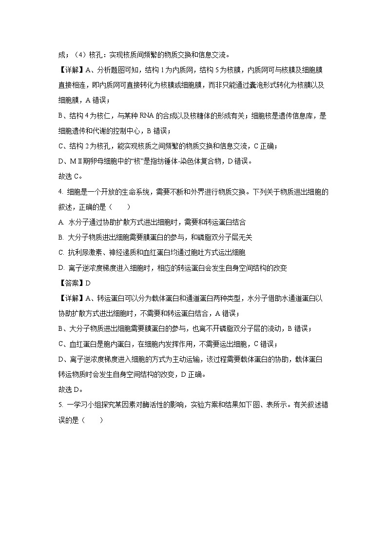 [生物][期末]河北省沧州市2023-2024学年高二下学期7月期末教学质量监测试题(解析版)03