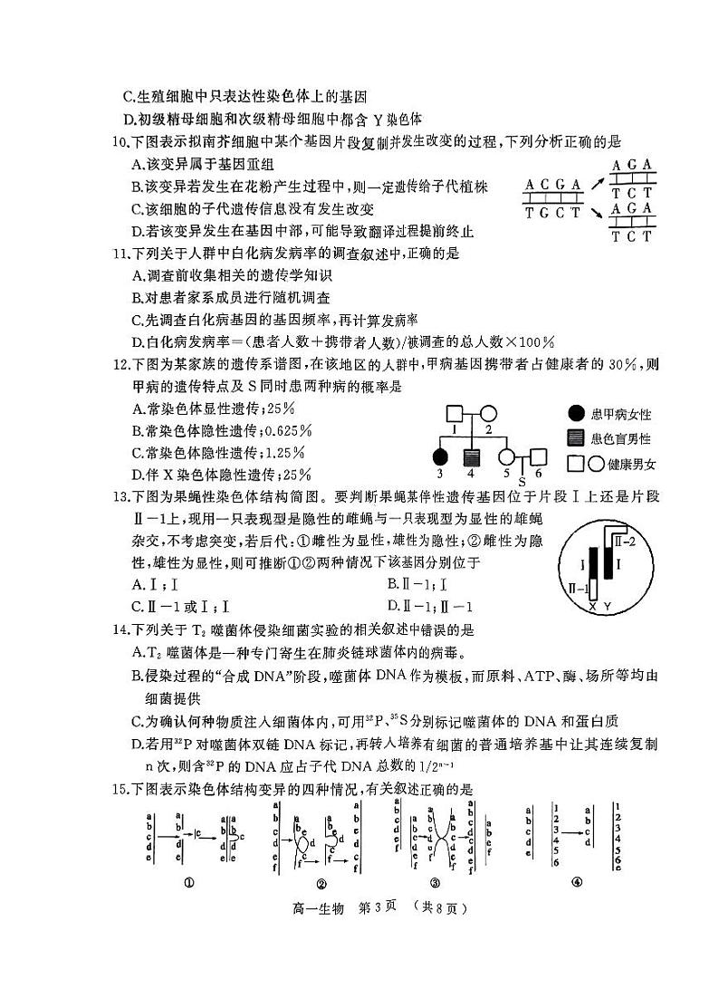 河南省驻马店市2023-2024学年高一下学期期末考试生物试题03