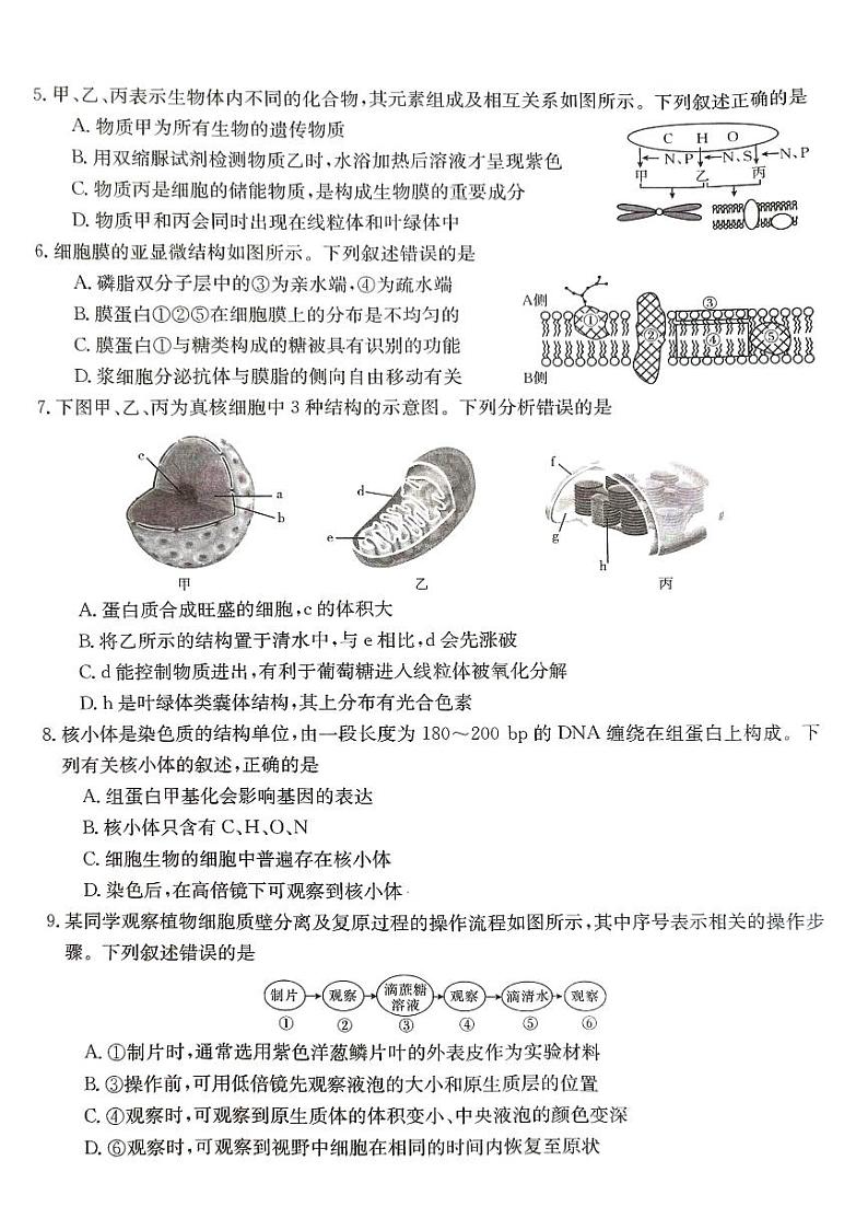 河北省秦皇岛市卢龙县2023-2024学年高二下学期期末考试生物试题02