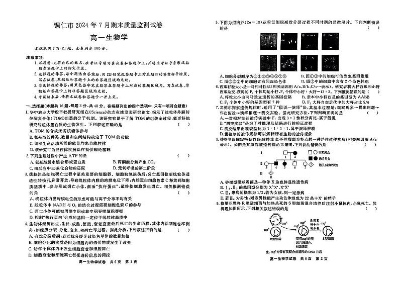 贵州省铜仁市2023-2024学年高一下学期期末质量监测生物试题01