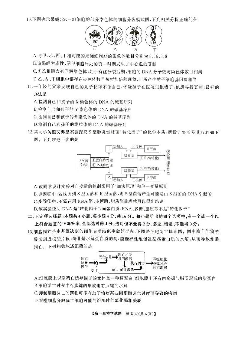 生物-湖南省三湘名校教育联盟2023-2024学年高一下学期期中大联考试题和答案03