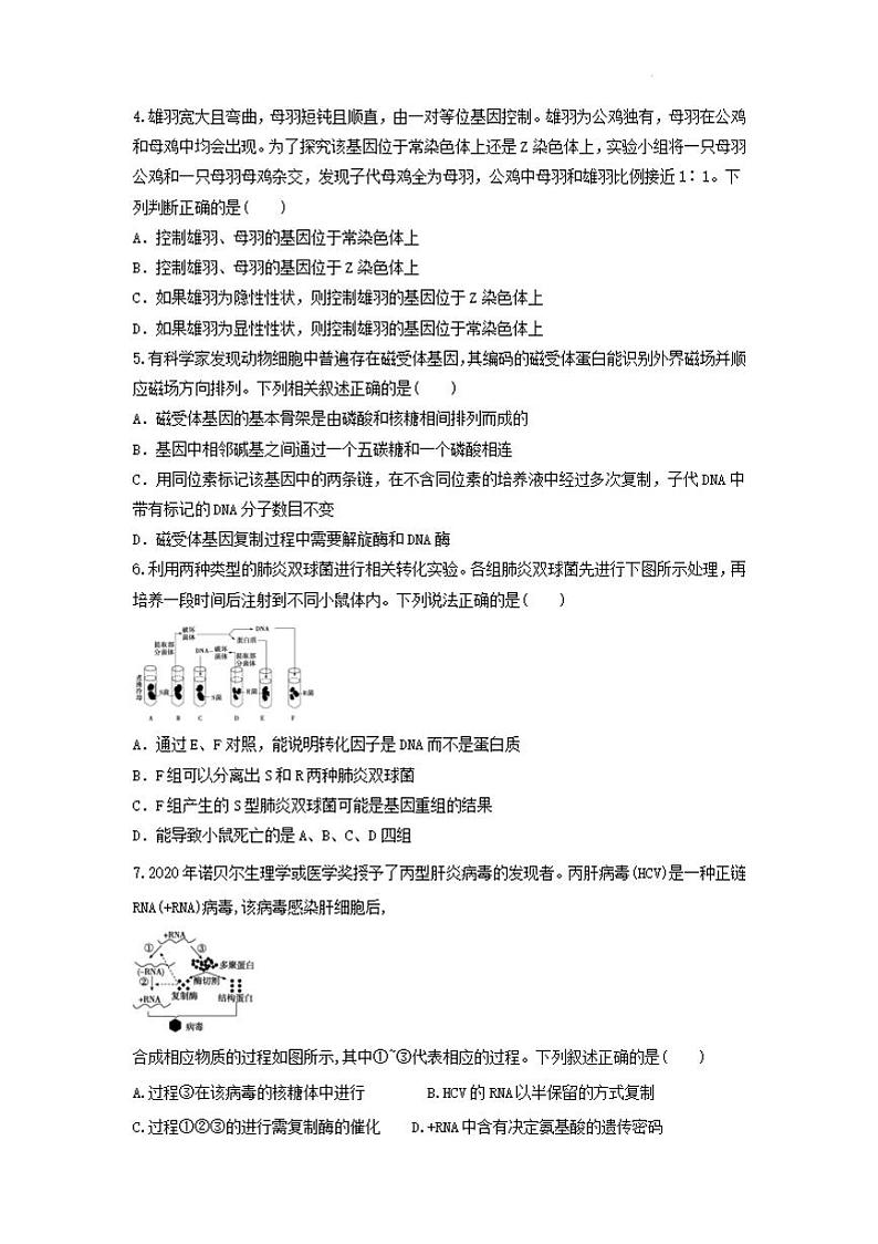 生物-陕西省西安市部分学校联考2023-2024学年高一下学期6月月考试题和答案02