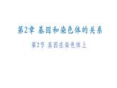 2.2 基因在染色体上new-onion课件