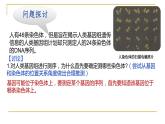 2.2 基因在染色体上new-onion课件