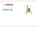2.2 基因在染色体上new-onion课件