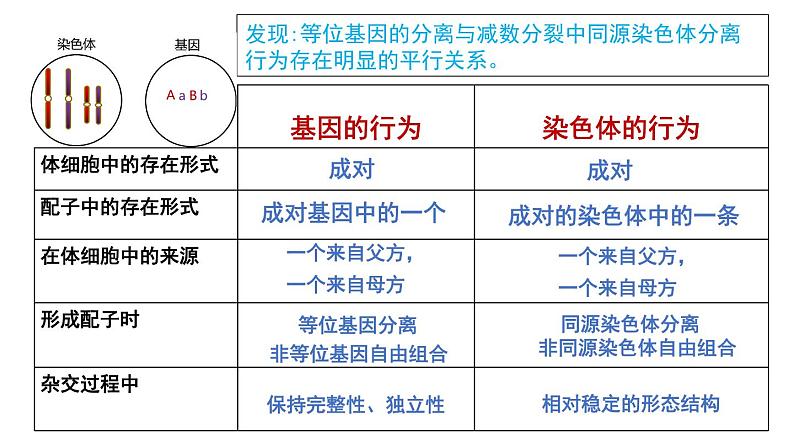 2.2 基因在染色体上new-onion课件第6页