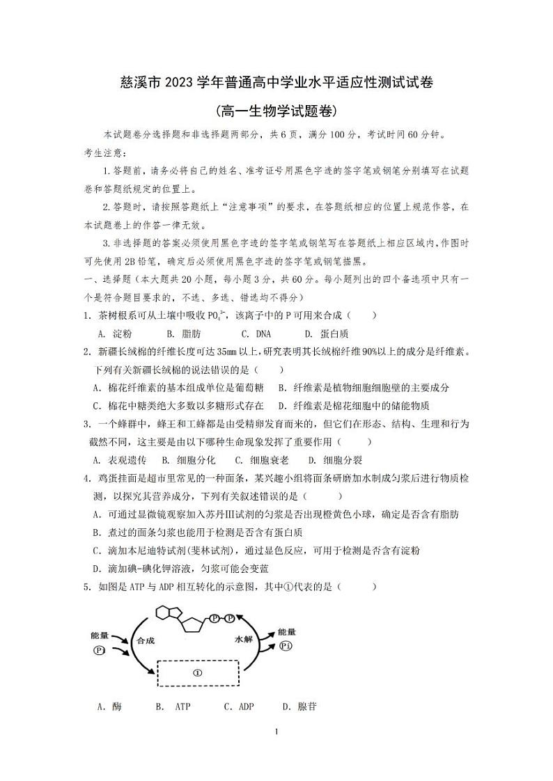 生物-浙江省宁波慈溪市2023-2024学年高一第二学期期末测试【含答案】01