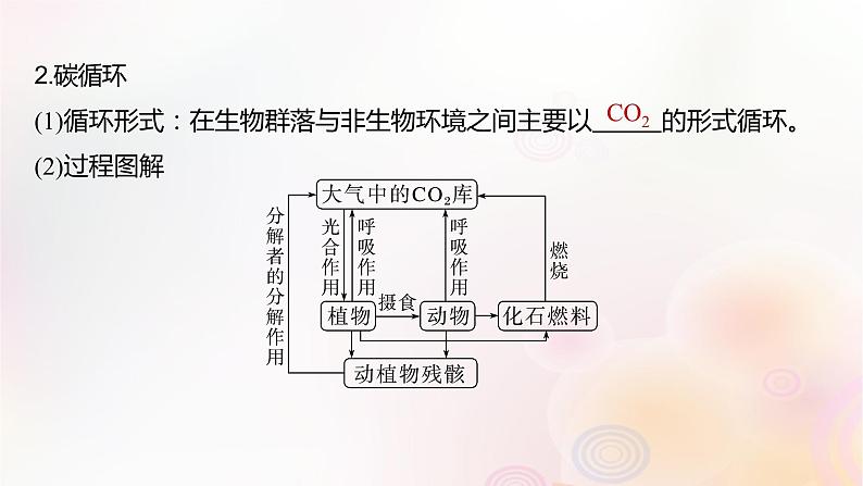 鲁湘辽新教材2024届高考生物一轮复习第九单元生物与环境第7课时生态系统的物质循环信息传递课件第5页