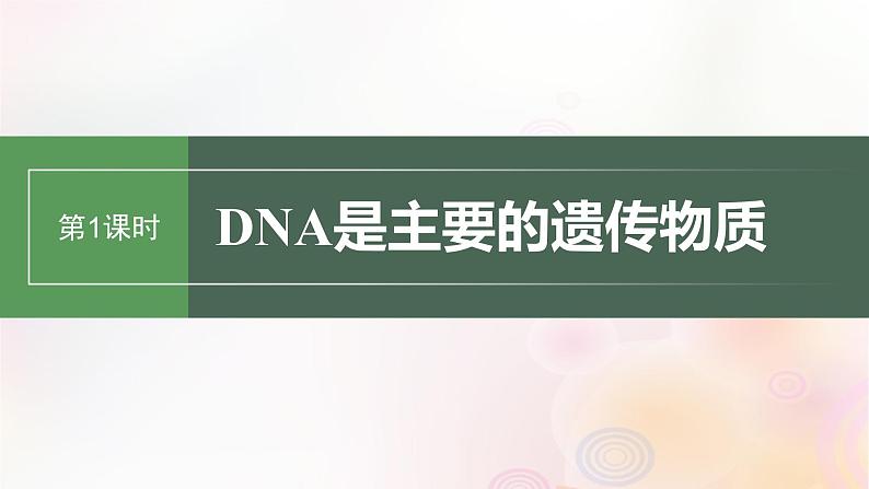 鲁湘辽新教材2024届高考生物一轮复习第六单元第1课时DNA是主要的遗传物质课件第1页