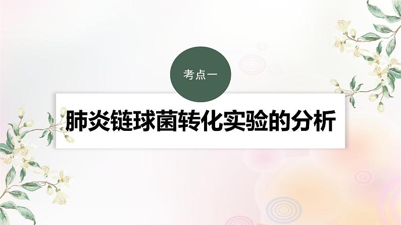 鲁湘辽新教材2024届高考生物一轮复习第六单元第1课时DNA是主要的遗传物质课件第3页