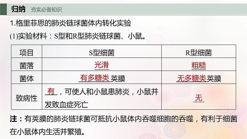 鲁湘辽新教材2024届高考生物一轮复习第六单元第1课时DNA是主要的遗传物质课件第4页