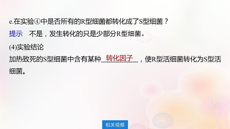 鲁湘辽新教材2024届高考生物一轮复习第六单元第1课时DNA是主要的遗传物质课件第7页