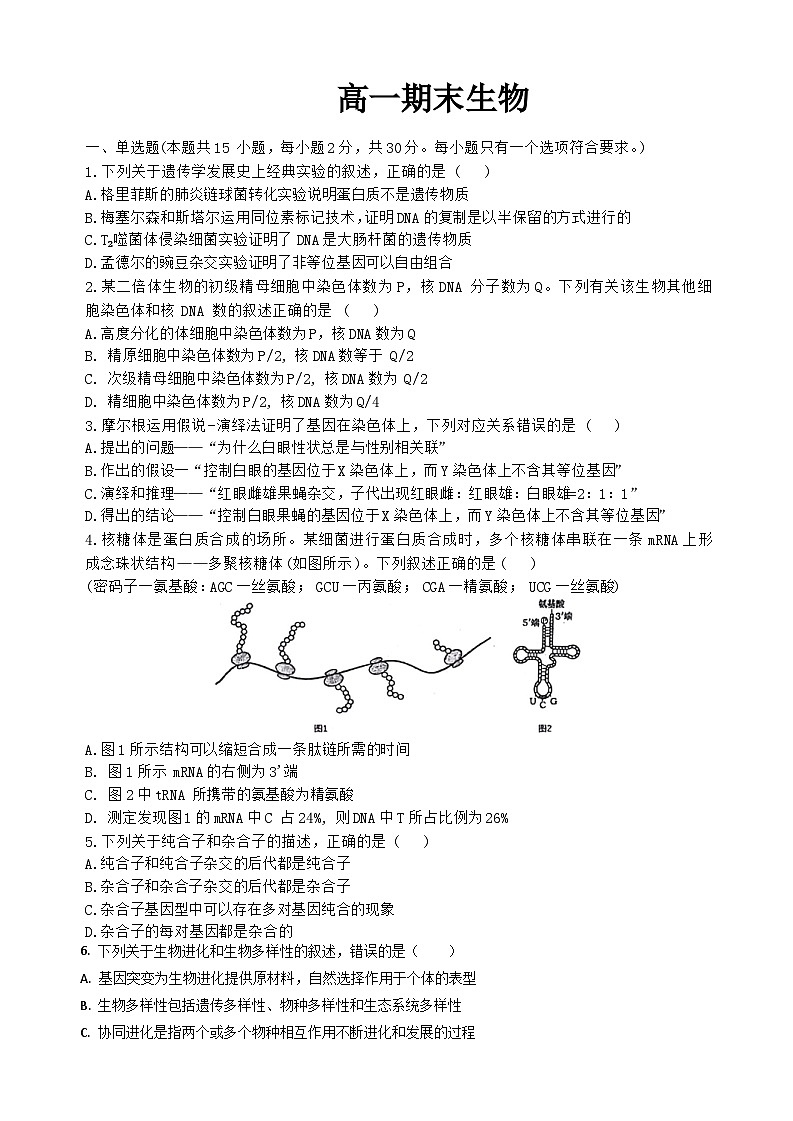 吉林省通化市梅河口市第五中学2023-2024学年高一下学期7月期末生物试题01