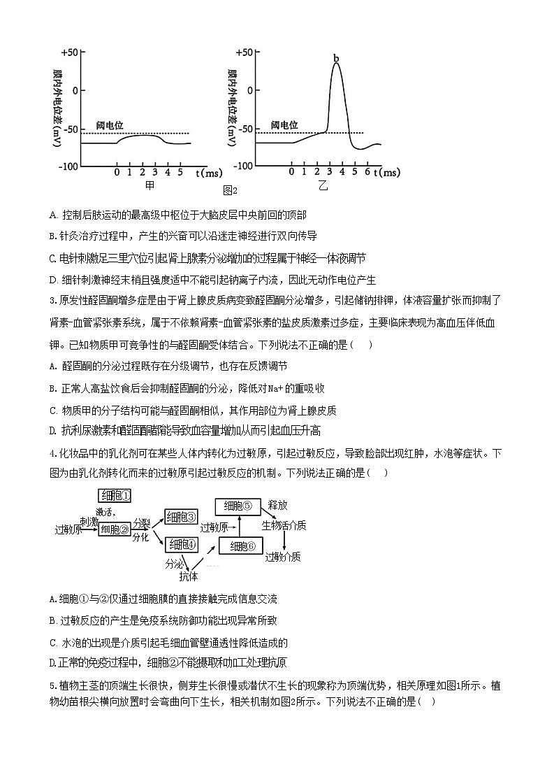 安徽省皖中名校联盟（合肥八中等）2023-2024学年第二学期高二年级期末检测+生物第2页
