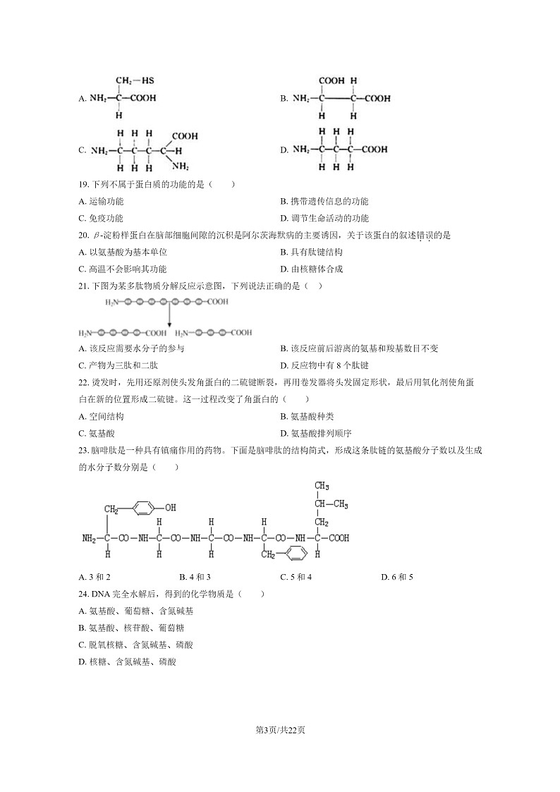 [生物]2020北京一零一中高一上学期期中生物试卷及答案03