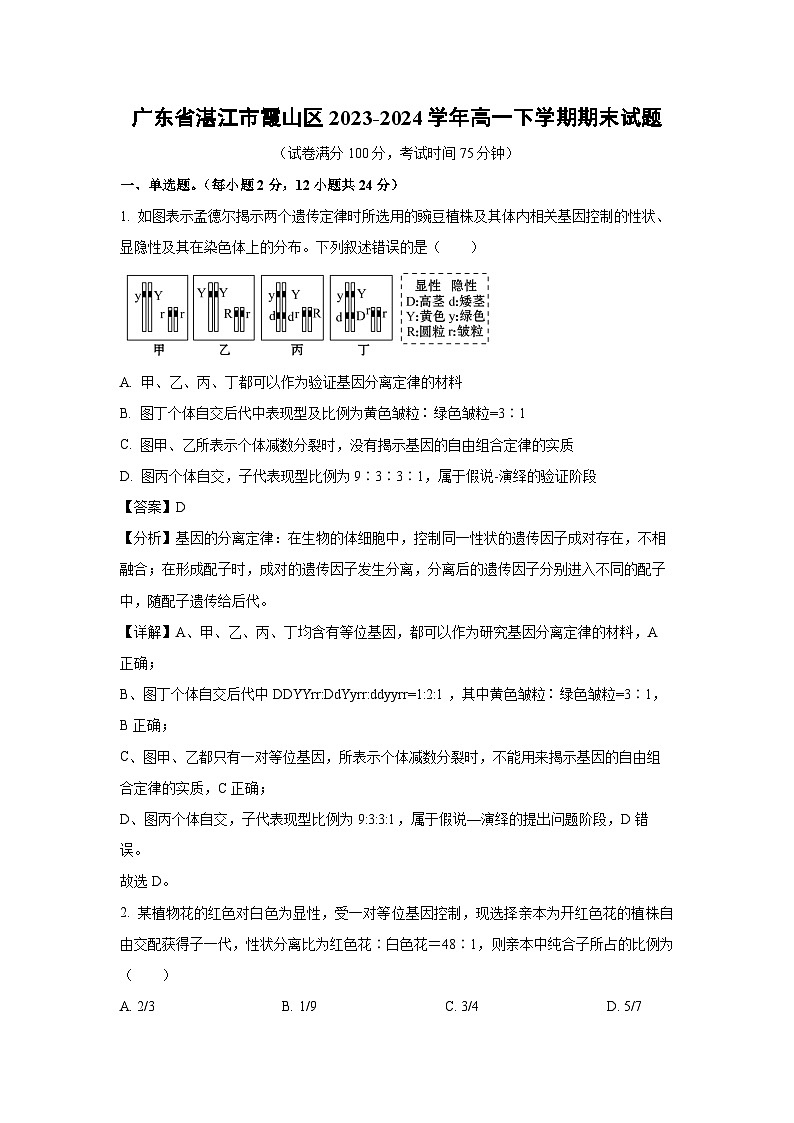 [生物][期末]广东省湛江市霞山区2023-2024学年高一下学期期末试题(解析版)01